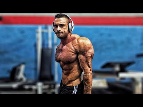 JULIO GORILA QUANDO ATIVA O MODO FIBRADO 😱