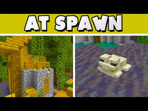 Top 5 NEW MANGROVE SWAMP Seeds For Minecraft 1.19!