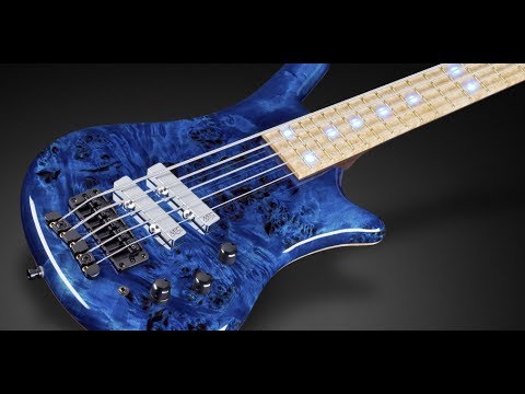 Warwick Custom Shop Masterbuilt - Thumb BO 5-String - 1" Birdseye Poplar Top #17-3409