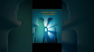 Deja vu Theory | SPECIES