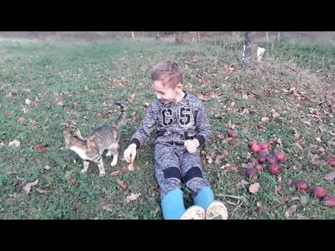 Denis la bunici➡️Cotiglet ,2018 !