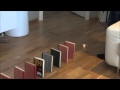 Ping Pong Domino FinnishTrickShots