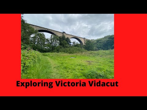 Exploring Victoria Vidacut
