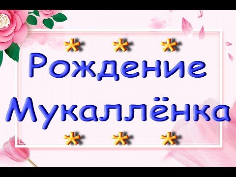 РОЖДЕНИЕ ОРХИДЕИ:Мукаллёнок!!!По горячим следам :)) Детка на пеньке орхидеи.