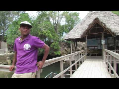 Занзибар, Нунгви, черепаший питомник