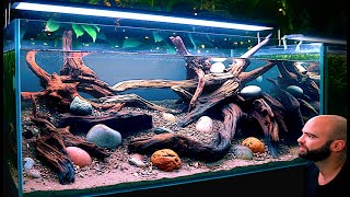 I Made A Self Balancing Ecosystem Aquarium (Substate & Hardscape)
