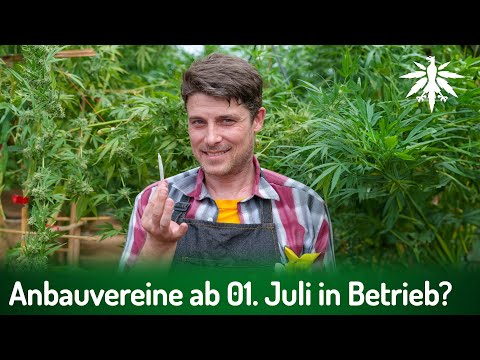 Video Thumbnail: Anbauvereine ab 01. Juli in Betrieb? | DHV-News # 424