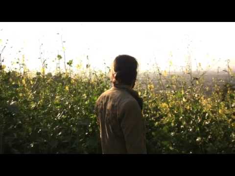 Wonder - Brian Buckley