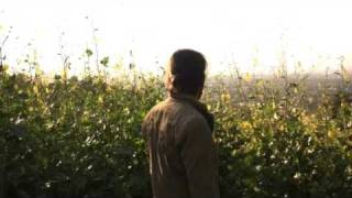 Wonder - Brian Buckley