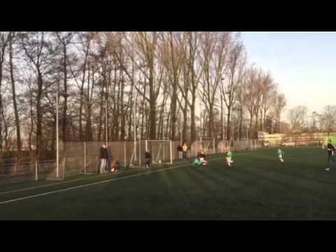 Westlandia F2 Quick F3