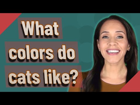 What colors do cats like?