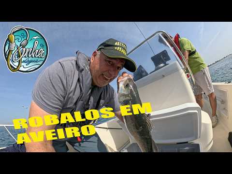 ROBALOS EM AVEIRO