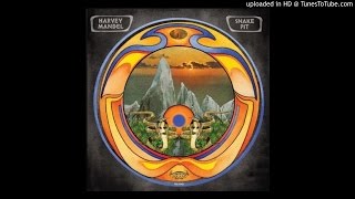 Harvey Mandel  Snake Pit