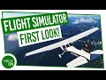 1.5 TRILLION TREES?! | Microsoft Flight Simulator Details REVEALED