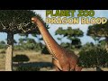 Planet Zoo Dragon Blood Tree New Scenery Jurassic World Evolution 2 Modding