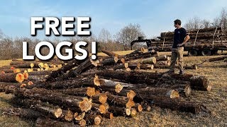 Burying Conduit and Stacking Logs | Abandoned Shed to Tiny House