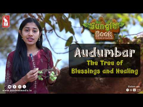 Audumbar: Nature’s Temple | Jungle Book | Epi 5 | 170226
