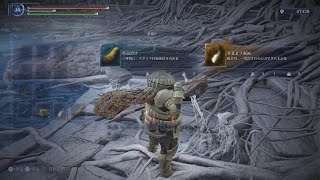 常世の王　三つ首の獣　ソロ　初見