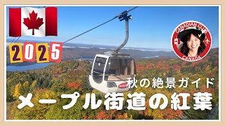 カナダ🇨🇦メープル街道の紅葉🍁2025 秋の絶景ガイド@QUEBECTV 