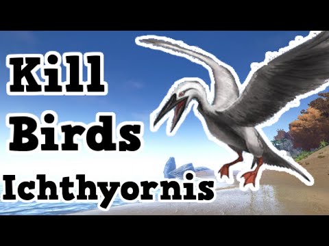 How to Kill Ichthyornis - Ark Survival Evolved Guide - Kill Flying Animals