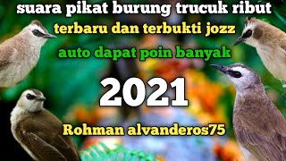 Download lagu SUARA PIKAT BURUNG TRUCUKAN RIBUT SUARA JERNIH[terbaru 2021#Rohman alvanderos75 mp3