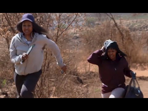 Generations: The Legacy