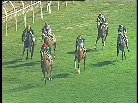 Galoppo 17/02/2018 - 6ª corsa