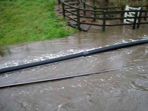 Holywell Halt and crossing
