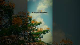 Download lagu Chittu Parakuthu Kuthaalathil 😇🎧 Song Lyrics 🤩💞 #trending #lovestatus #lovefeelingstatus #shortsfeed mp3