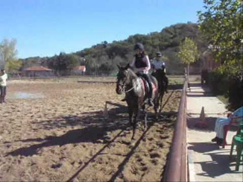Navaluenga Horse October