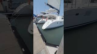Sailaway the Best Afternoon Cruise Port Douglas #positivevibes #touristplace