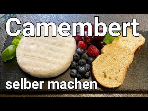 Unglaublich einfach: Camembert selber machen in wenigen Schritten