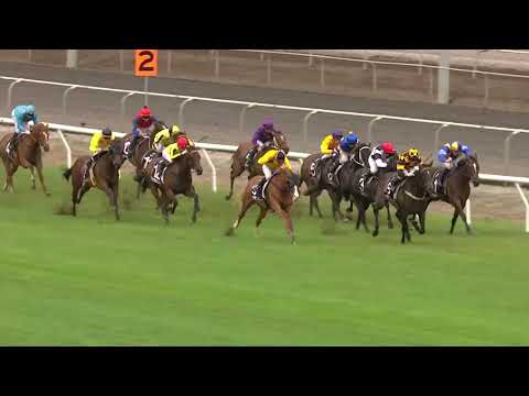 Kelly Renee - runner up in the G2 Matamata Breeders' Stakes