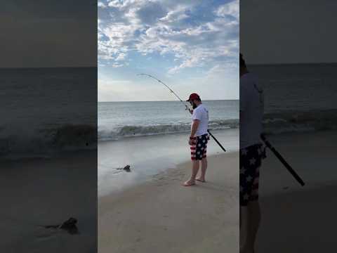 baby sting ray caught while surf fishing #fishing