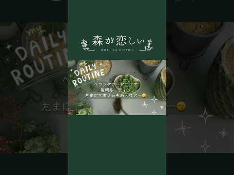 常緑樹のバルコニーに適したつる性の植物はどれですか?この7種は冬でも葉を落とさない！  庭園