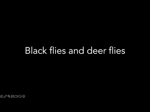 Lecture 18.3 - Black flies and deer flies