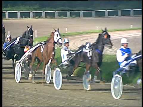 Trotto 15/11/2015 - 7° corsa