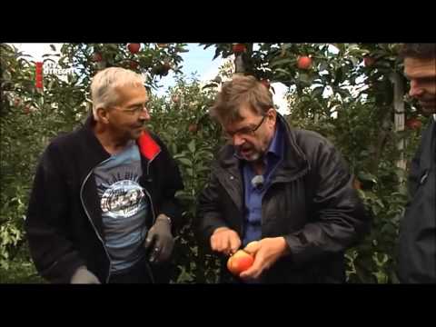 Henk Westbroek op bezoek bij Van Wijk Fruit