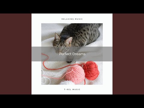 Perfect Sea Sounds of Deep Chill-out with Bird Calls