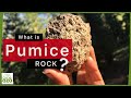 PUMICE ROCK - What is it?