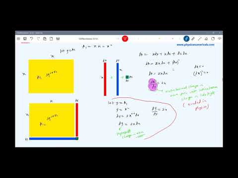 What is Differentiation