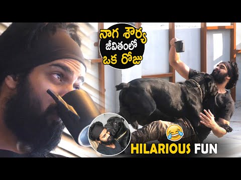Hilarious Moments In a Day Of Naga Shourya | Superb Fun With His Dog | Cinema Culture