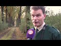 Zwijnen veroorzaken overlast: 'Je ziet ze nu zelfs overdag'