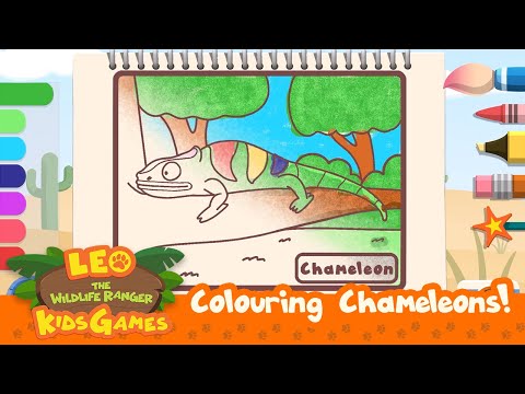 Witness21  2023 06 23