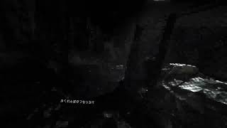VRdeバイオRE:4ナイフ縛り #2