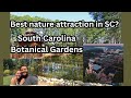 Walk Around The SC Botanical Gardens With Us