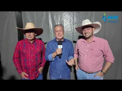 Festa do Boi 2025 - Brazabrantes