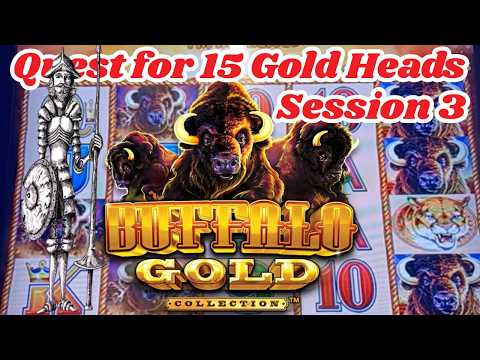 Buffalo Quest for 15 Gold Heads - Session 3
