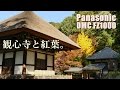 【panasonic fz1000】 10 観心寺と紅葉