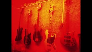 bass comparison. Jazz Bass, Stingray, Thunderbird, Presicion, PJ, BB425, RBX375